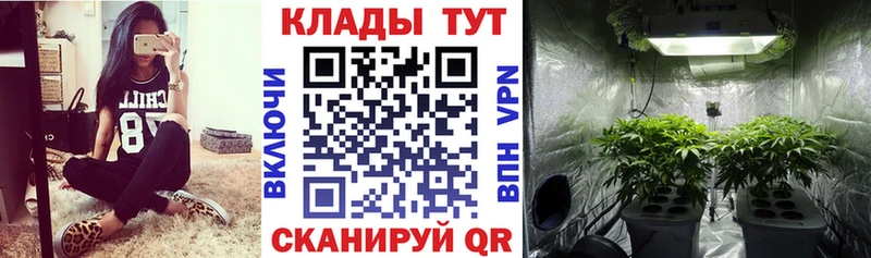 Купить закладку Вейп ТГК  Бошки Шишки  Меф  Гашиш  Мегион