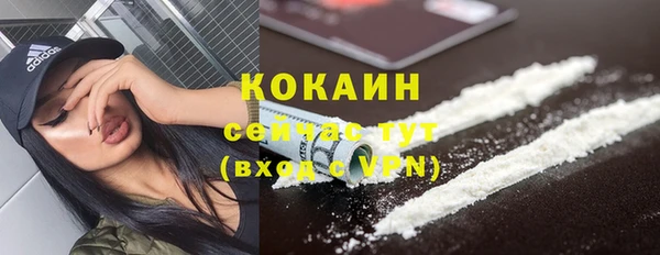 индика Каменка