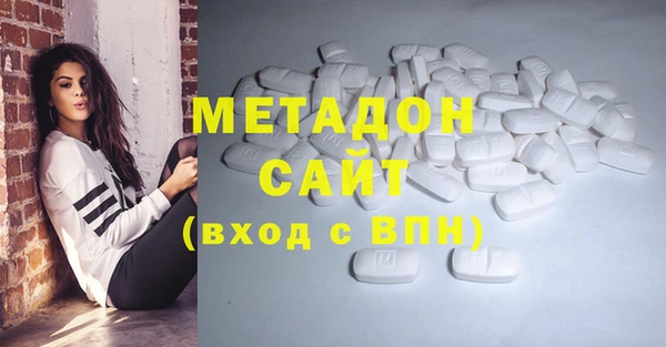 индика Каменка