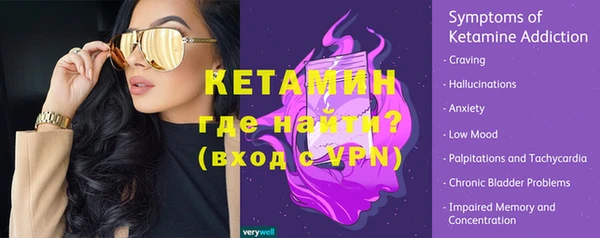 индика Каменка