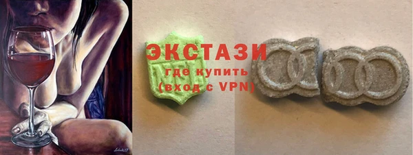 индика Каменка