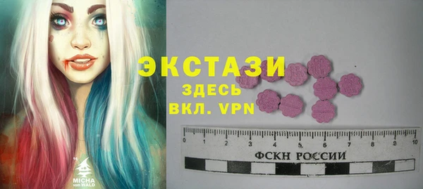 индика Каменка