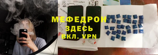 индика Каменка
