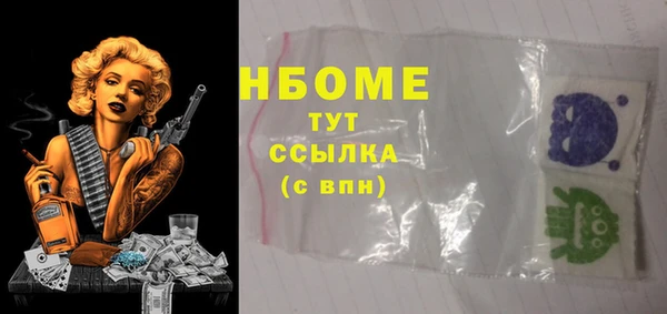 индика Каменка