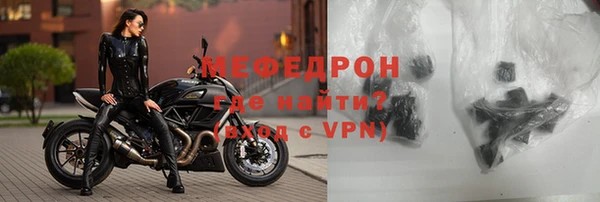 индика Каменка