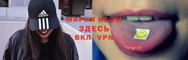 индика Каменка