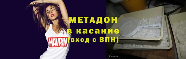 индика Каменка
