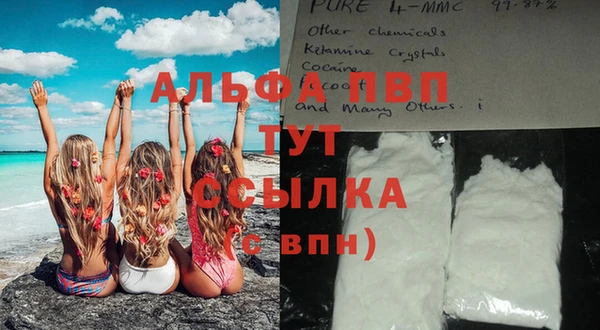 индика Каменка