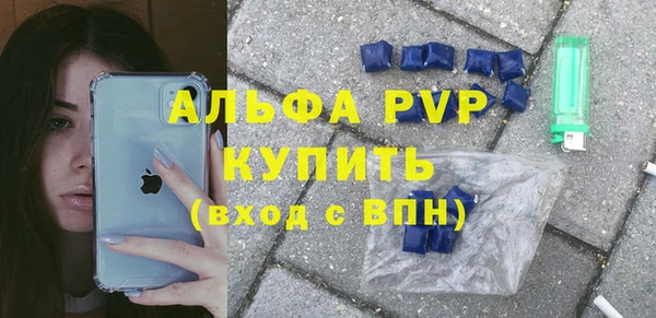 индика Каменка