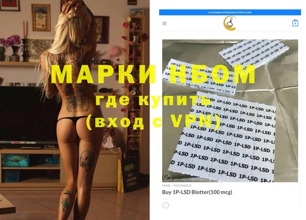индика Каменка