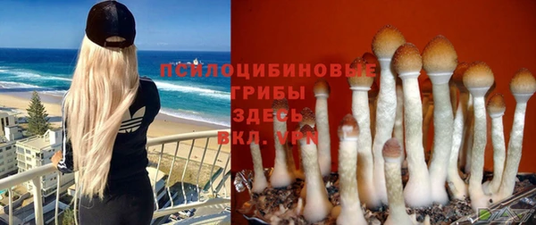 индика Каменка