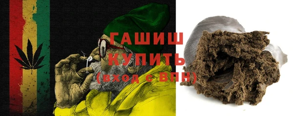индика Каменка
