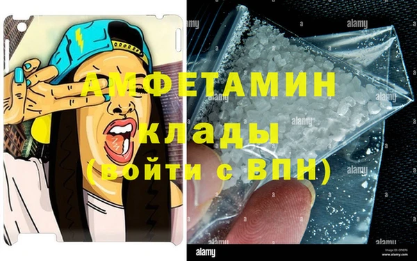 индика Каменка