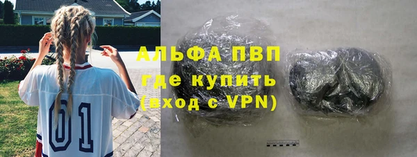 индика Каменка