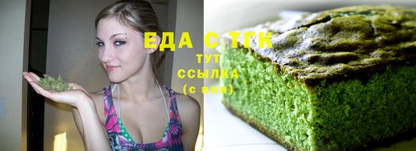индика Каменка