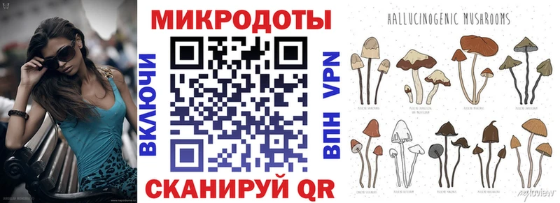 Псилоцибиновые грибы прущие грибы  Купить закладки  Мегион 